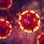  изображение для новости В УлГУ начал работать ситуационный центр по предупреждению распространения коронавирусной инфекции