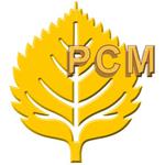 изображение для новости С днем рождения, РСМ! изображение для новости С днем рождения, РСМ!