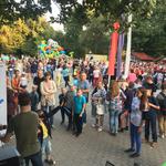  изображение для новости Ульяновский государственный университет выступил одним из организаторов Ночи науки