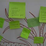 изображение для новости изображение для новости