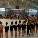 изображение для новости Выпускница УлГУ организовала фестиваль художественной гимнастики