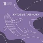 изображение для новости Как всё успевать и выполнять свою работу качественно? изображение для новости Как всё успевать и выполнять свою работу качественно?