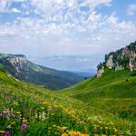  изображение для новости USU activists return from Adygea