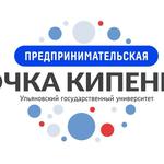  изображение для новости Студенты УлГУ встретились с представителем ИТ-компании Виталием Трясциным