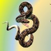 изображение для новости Виртуальная книжная выставка, посвящённая языку программирования Python изображение для новости Виртуальная книжная выставка, посвящённая языку программирования Python