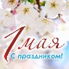  изображение для новости С праздником весны и труда!