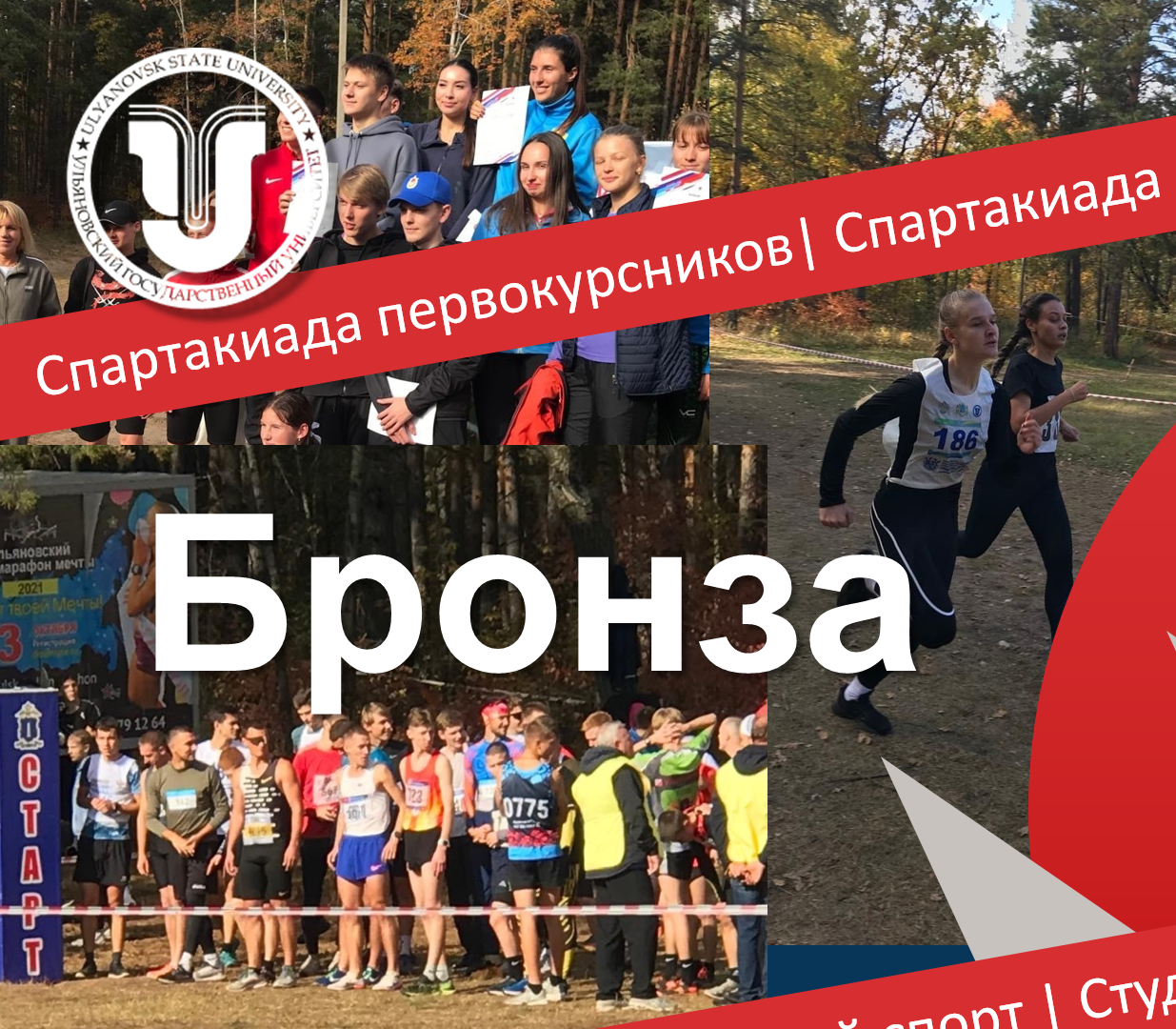 изображение для новости Бронза в региональном Чемпионате и Первенстве по легкоатлетическому кроссу изображение для новости Бронза в региональном Чемпионате и Первенстве по легкоатлетическому кроссу