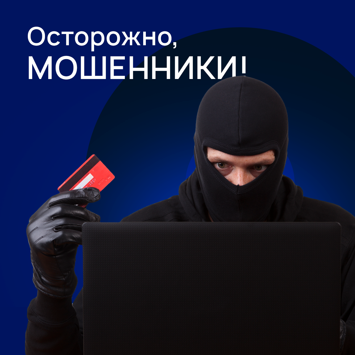  изображение для новости Студенты все чаще становятся жертвами мошенников